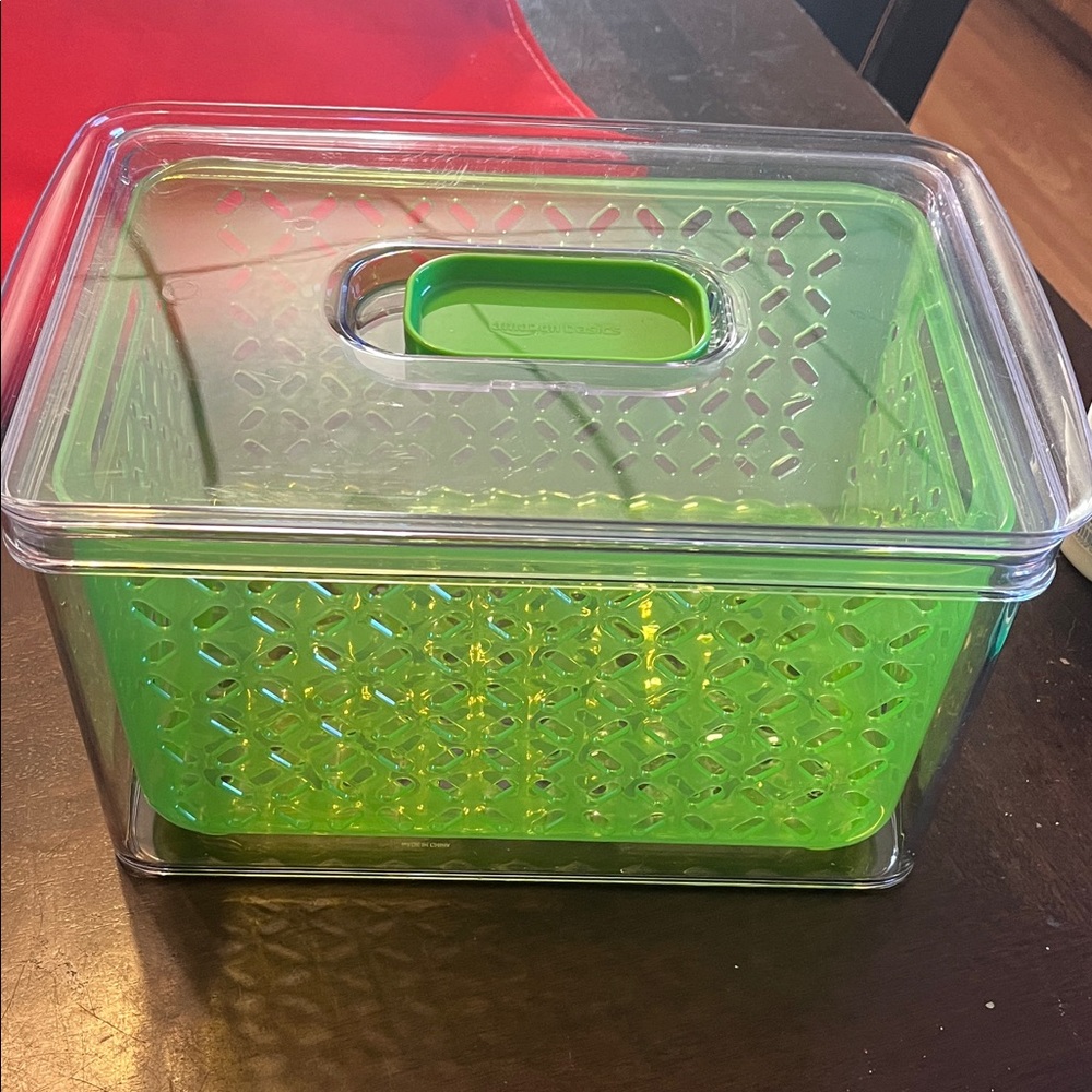 Green Storage produce keeper with Clear Lid